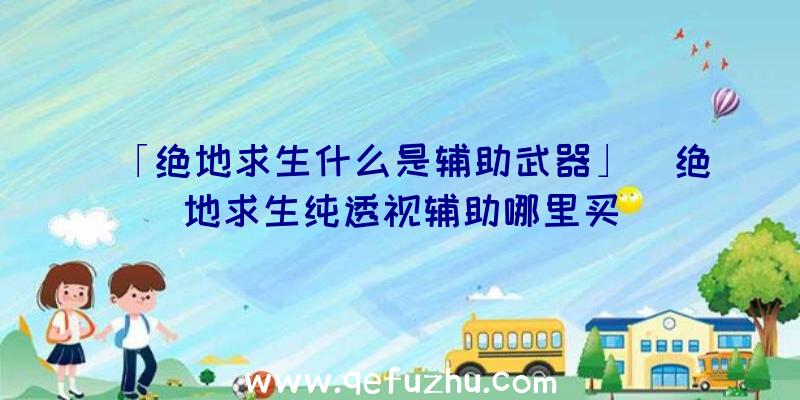 「绝地求生什么是辅助武器」|绝地求生纯透视辅助哪里买